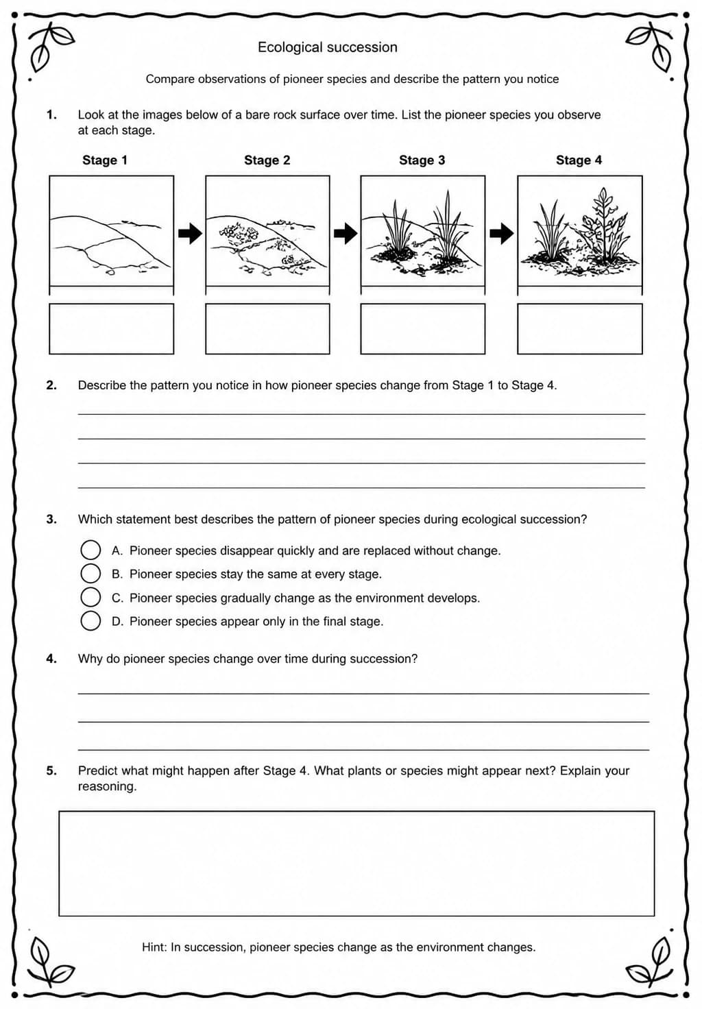 Compare observations of pioneer species and describe the pattern you notice — free printable Middle School Science worksheet