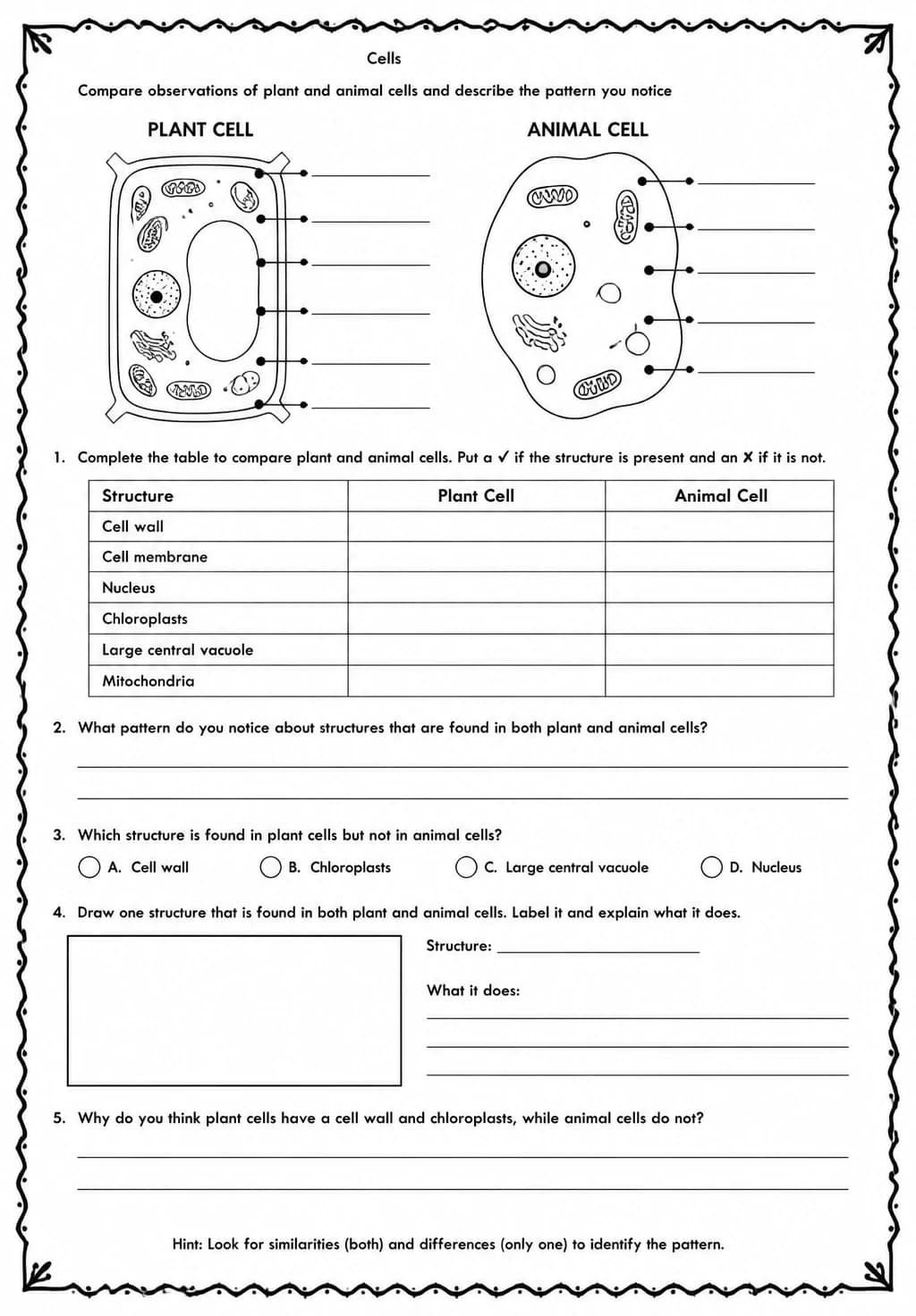 Compare observations of plant and animal cells and describe the pattern you notice — free printable Middle School Science worksheet