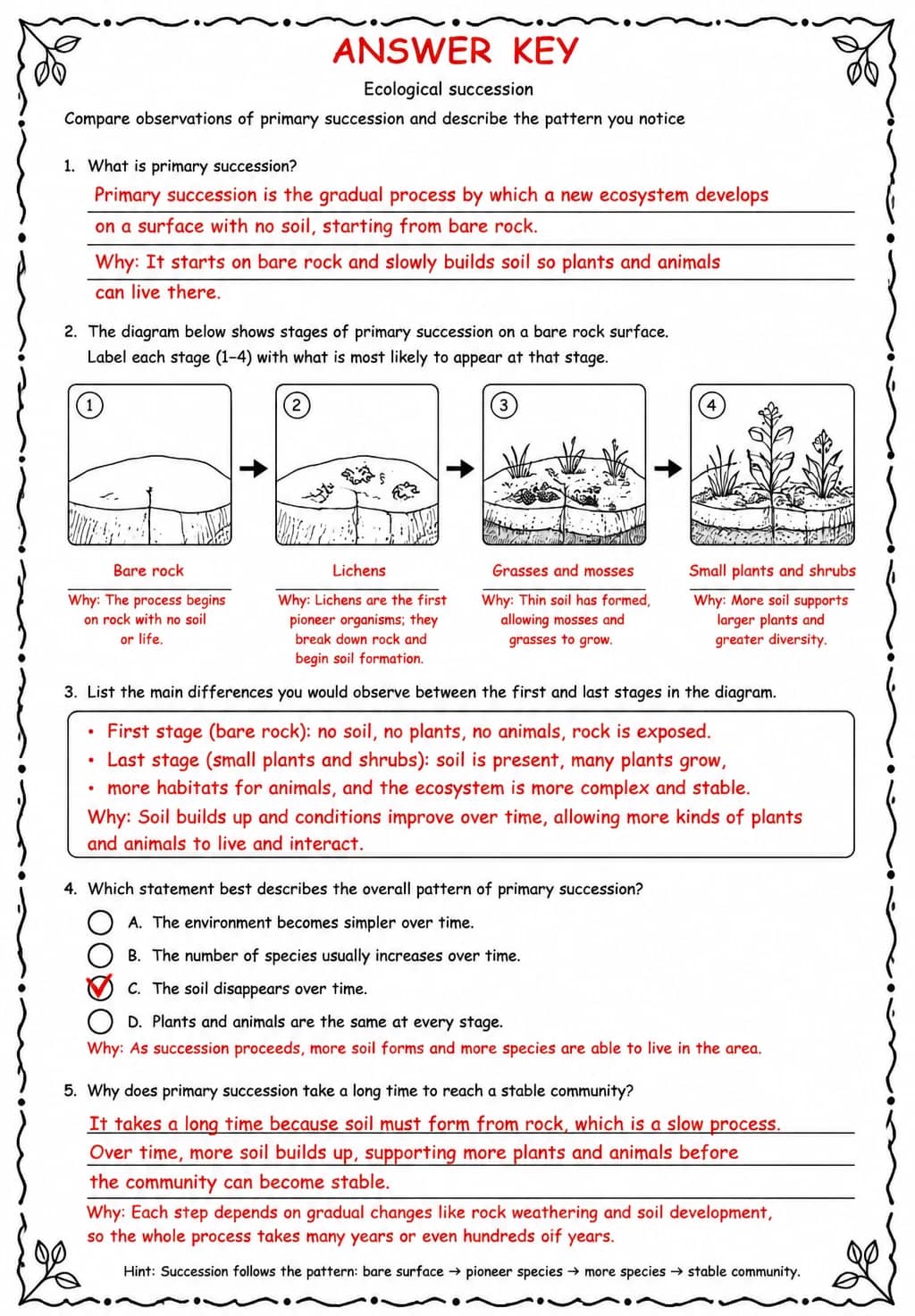 Answer key for Compare observations of primary succession and describe the pattern you notice — free printable Science worksheet