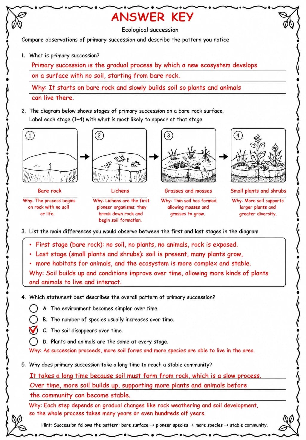 Answer key for Compare observations of primary succession and describe the pattern you notice — free printable Science worksheet