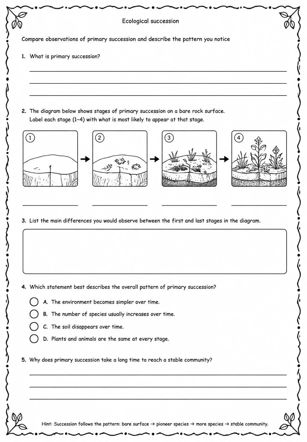 Compare observations of primary succession and describe the pattern you notice — free printable Middle School Science worksheet