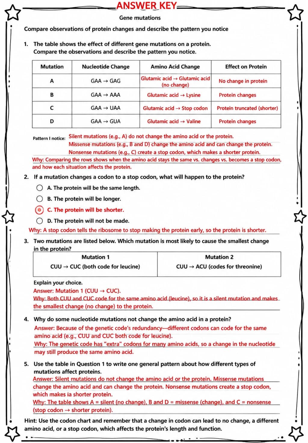 Answer key for Compare observations of protein changes and describe the pattern you notice — free printable Science worksheet