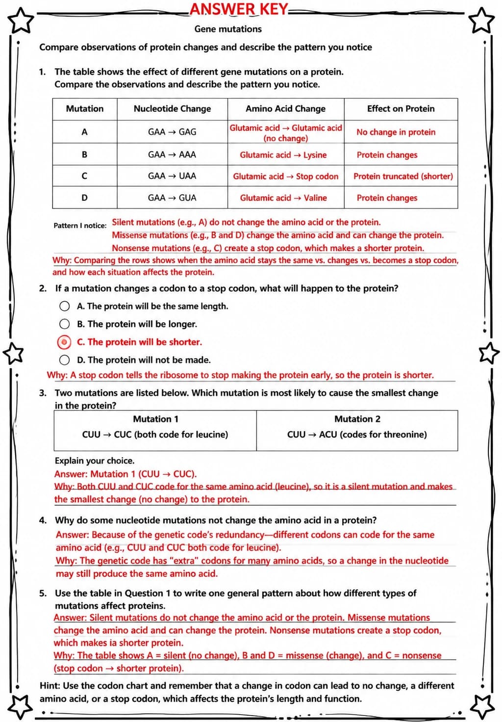 Answer key for Compare observations of protein changes and describe the pattern you notice — free printable Science worksheet