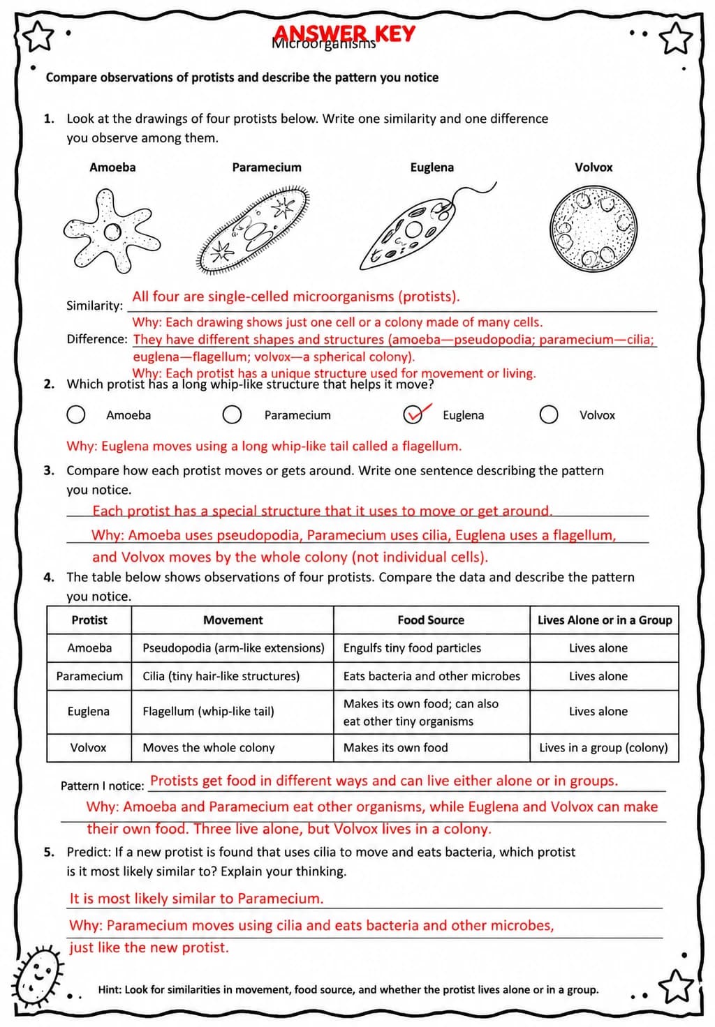 Answer key for Compare observations of protists and describe the pattern you notice — free printable Science worksheet