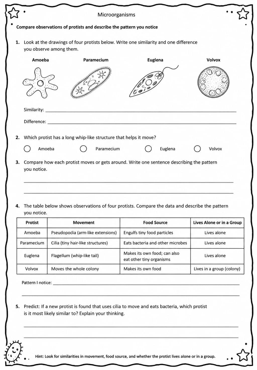Compare observations of protists and describe the pattern you notice — free printable Middle School Science worksheet
