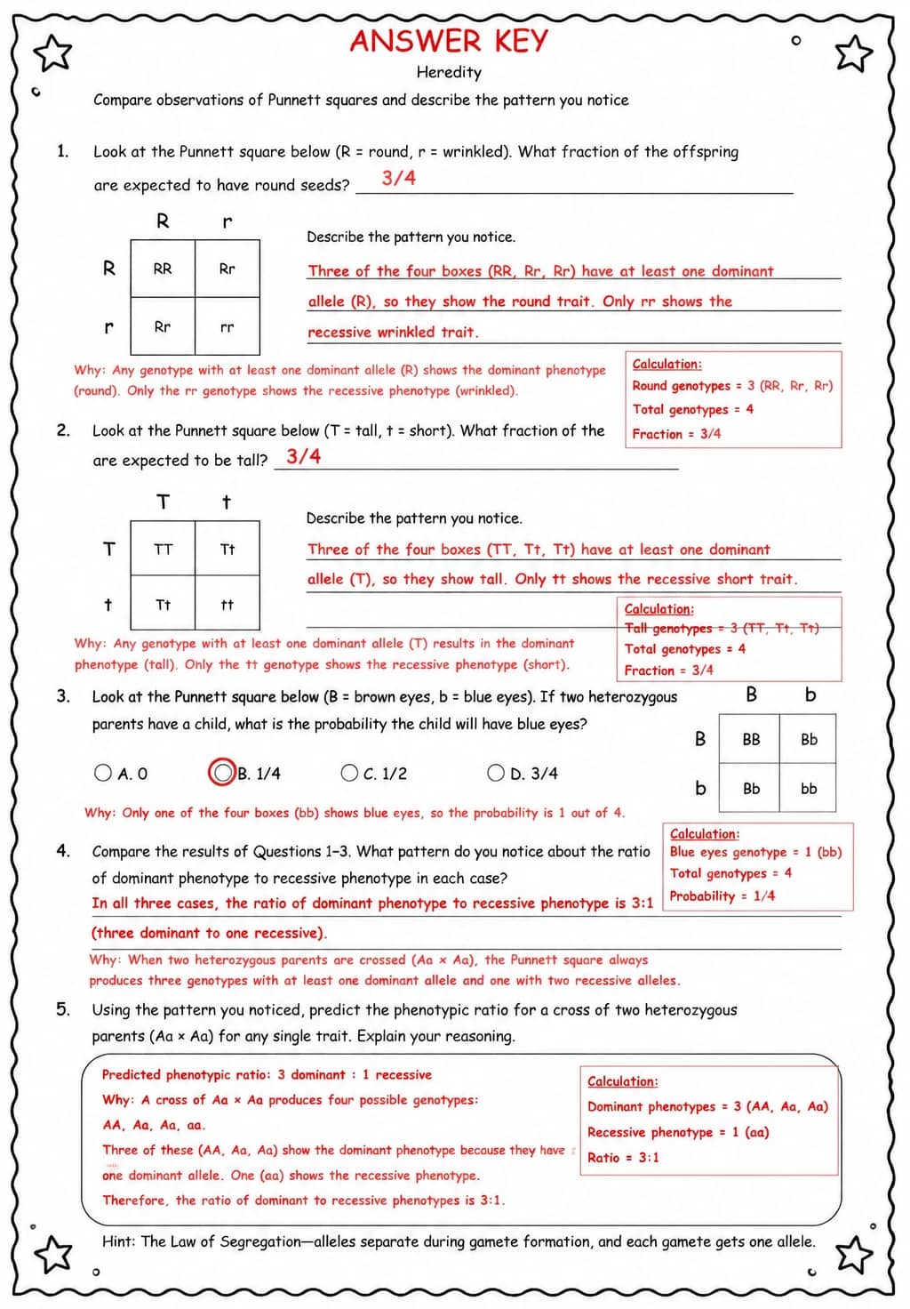 Answer key for Compare observations of Punnett squares and describe the pattern you notice — free printable Science worksheet