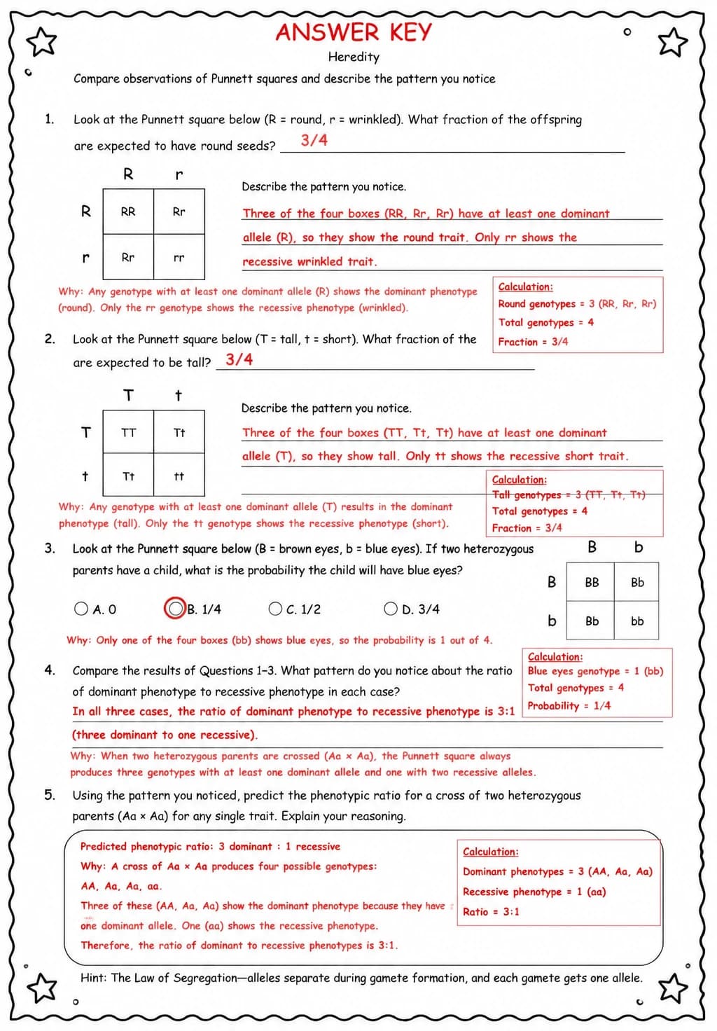 Answer key for Compare observations of Punnett squares and describe the pattern you notice — free printable Science worksheet
