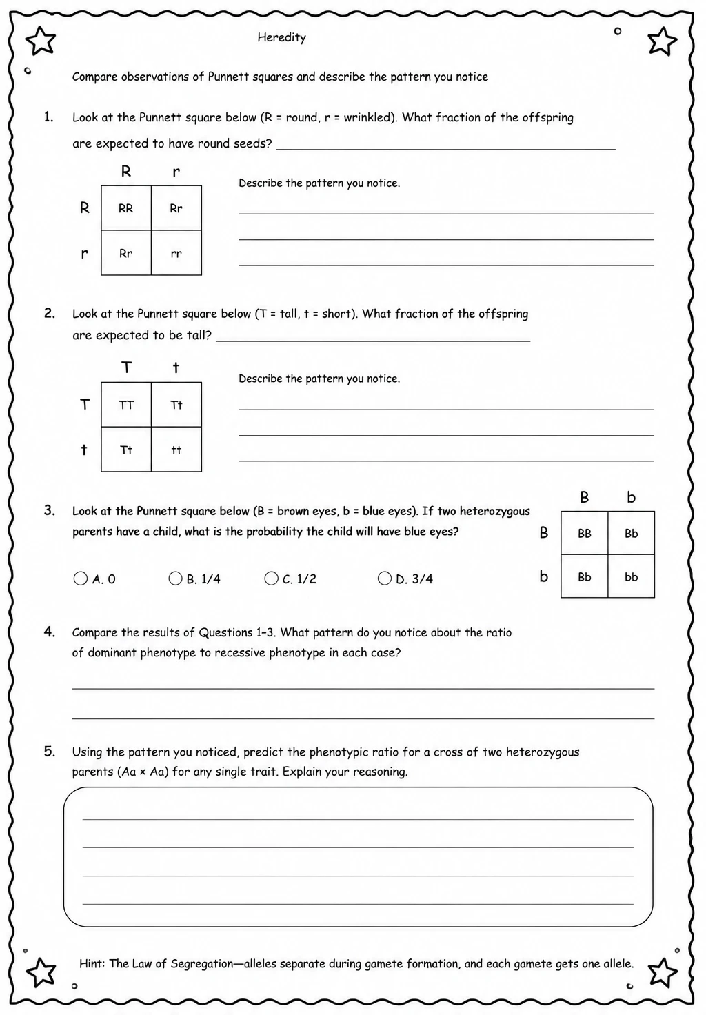 Compare observations of Punnett squares and describe the pattern you notice — free printable Middle School Science worksheet