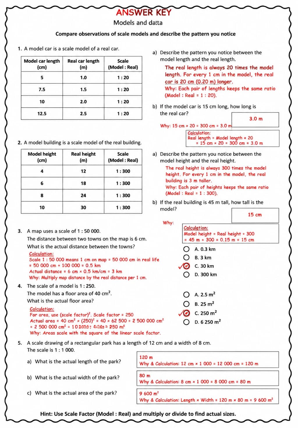 Answer key for Compare observations of scale models and describe the pattern you notice — free printable Science worksheet