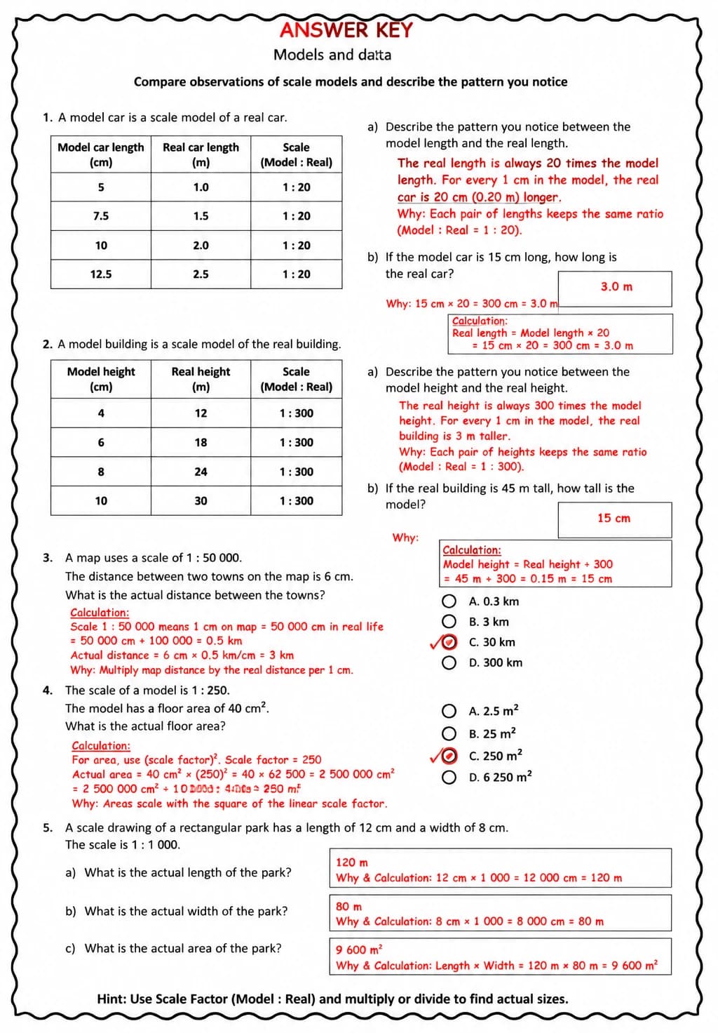 Answer key for Compare observations of scale models and describe the pattern you notice — free printable Science worksheet