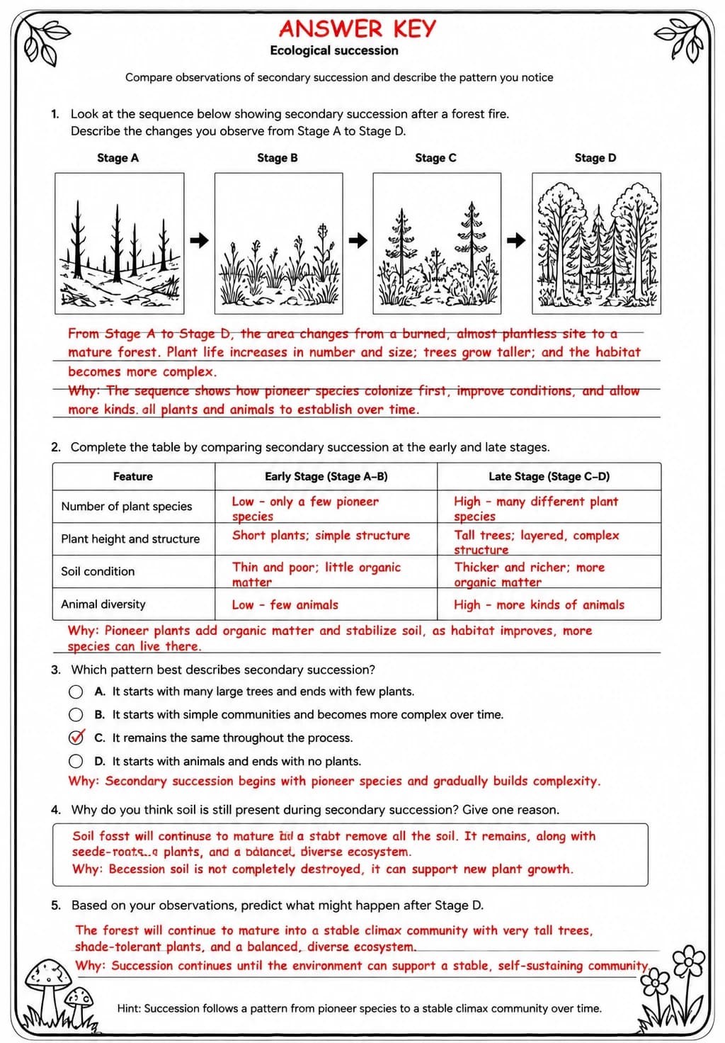 Answer key for Compare observations of secondary succession and describe the pattern you notice — free printable Science worksheet