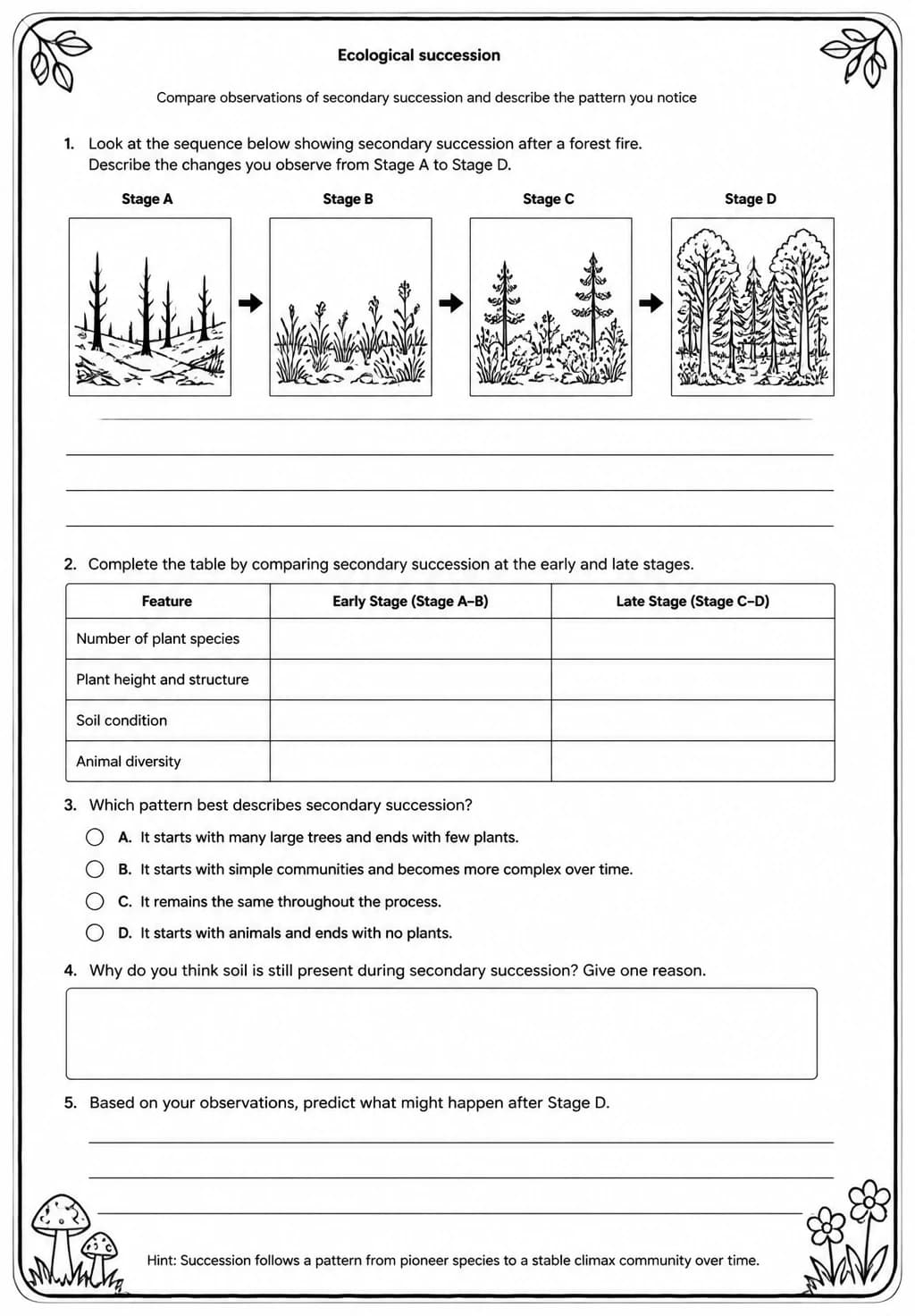 Compare observations of secondary succession and describe the pattern you notice — free printable Middle School Science worksheet