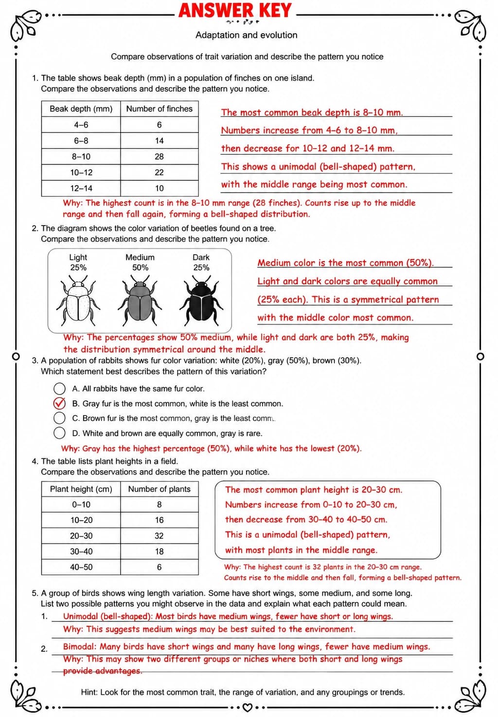 Answer key for Compare observations of trait variation and describe the pattern you notice — free printable Science worksheet