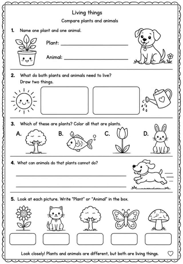 Compare plants and animals