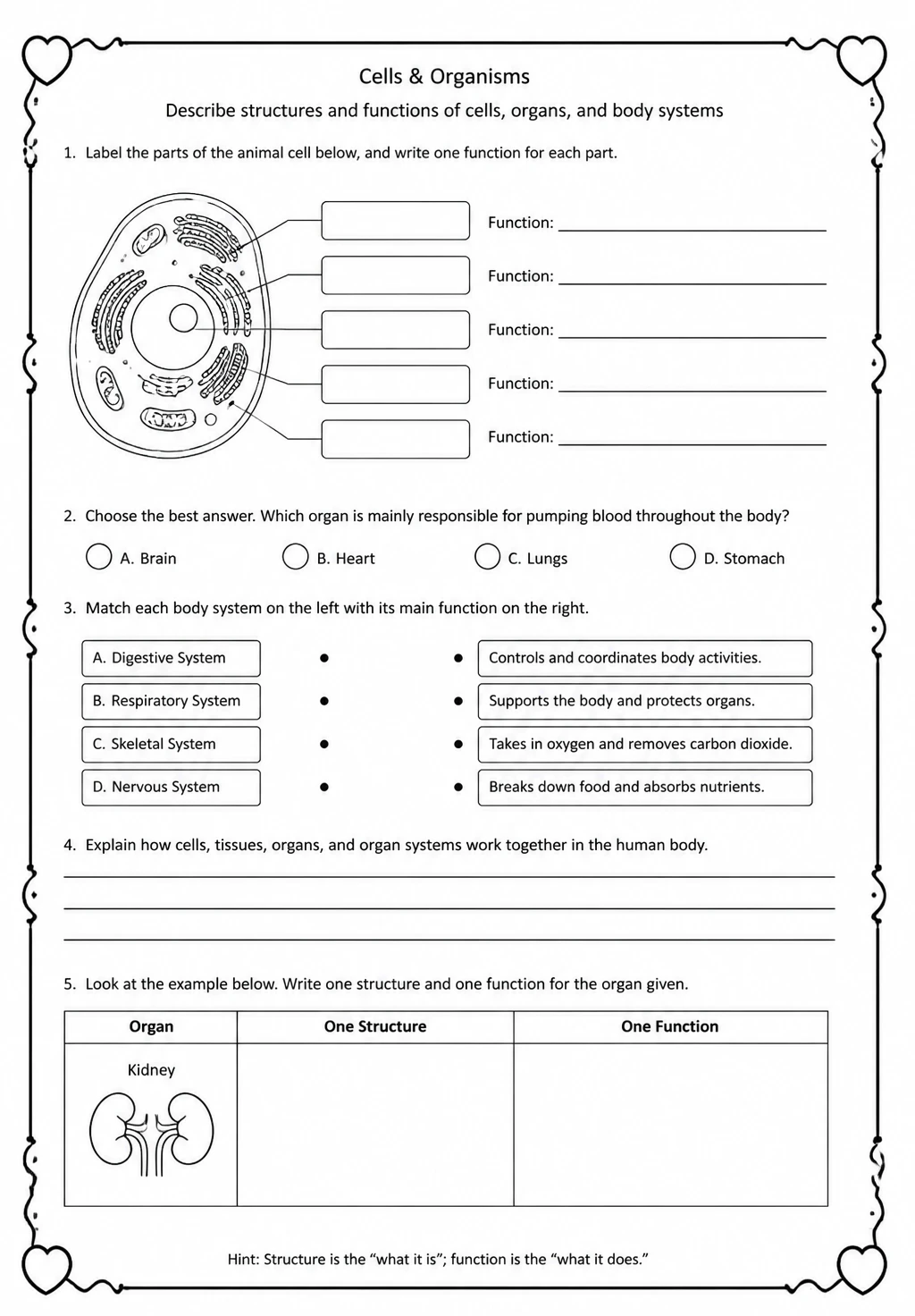 Describe structures and functions of cells, organs, and body systems — free printable High School Science worksheet