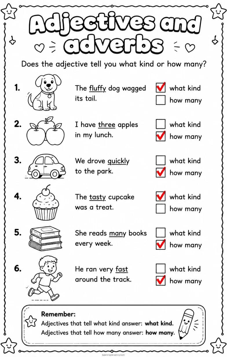 Answer key for Does the adjective tell you what kind or how many? — free printable English & Reading worksheet