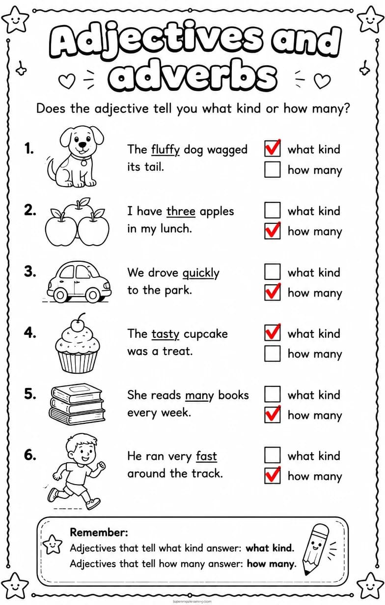 Answer key for Does the adjective tell you what kind or how many? — free printable English & Reading worksheet