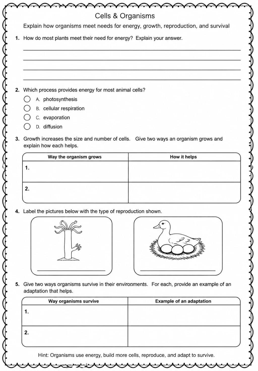 Explain how organisms meet needs for energy, growth, reproduction, and survival — free printable High School Science worksheet