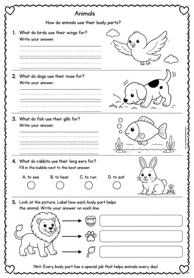 How do animals use their body parts?