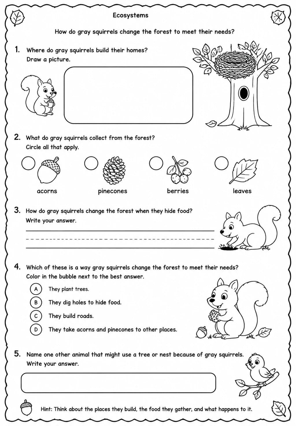 How do gray squirrels change the forest to meet their needs? — free printable Kindergarten Science worksheet