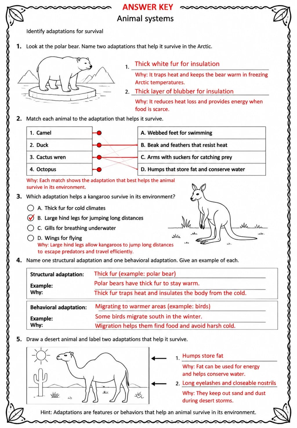 Answer key for Identify adaptations for survival — free printable Science worksheet