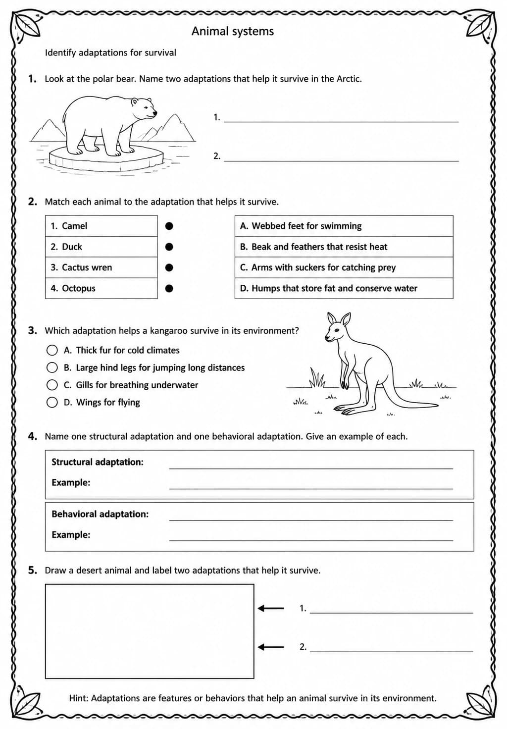Identify adaptations for survival — free printable Middle School Science worksheet