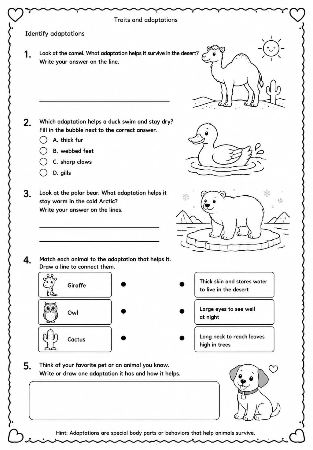 Identify adaptations — free printable Grade 3 Science worksheet