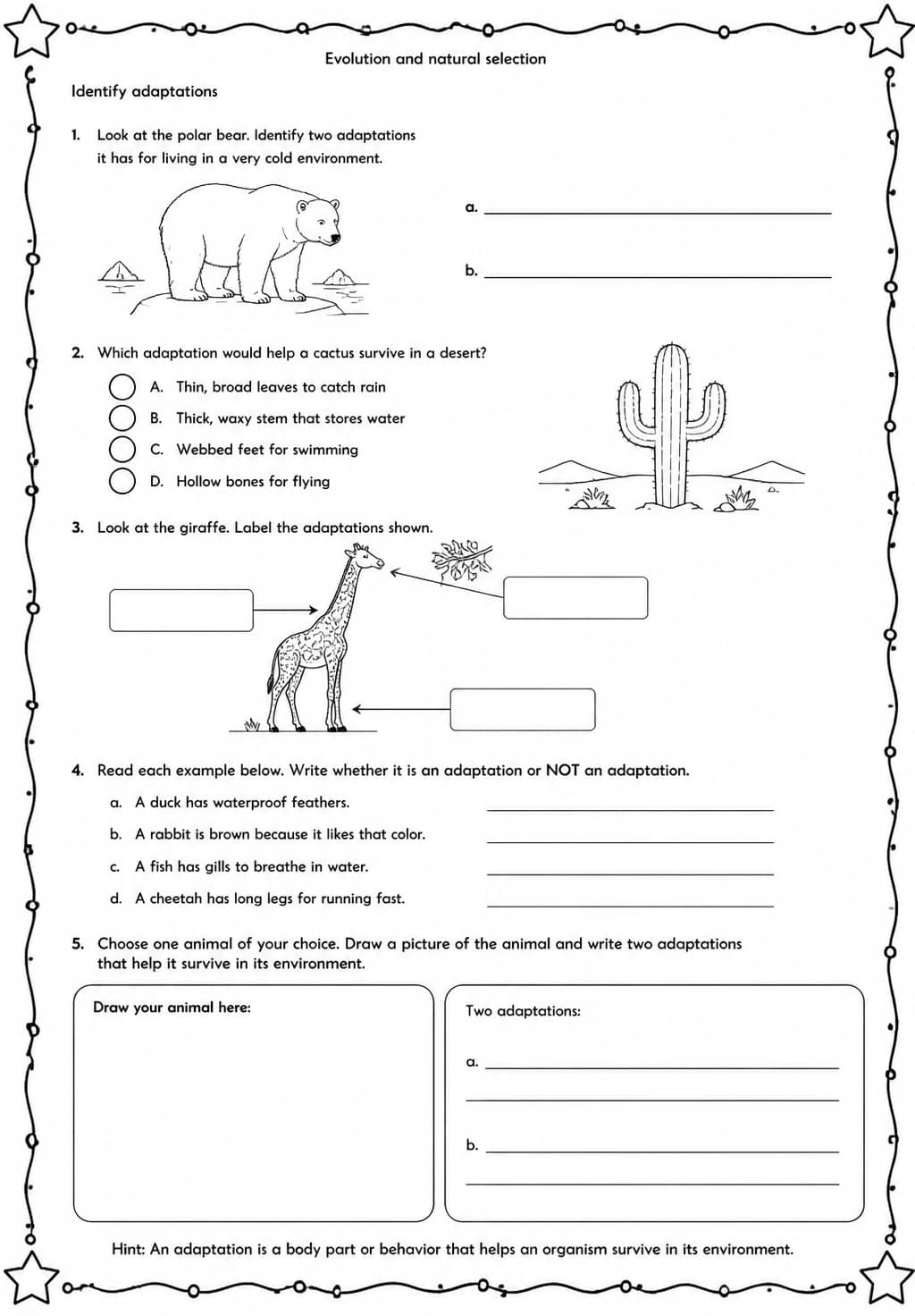 Identify adaptations — free printable Middle School Science worksheet