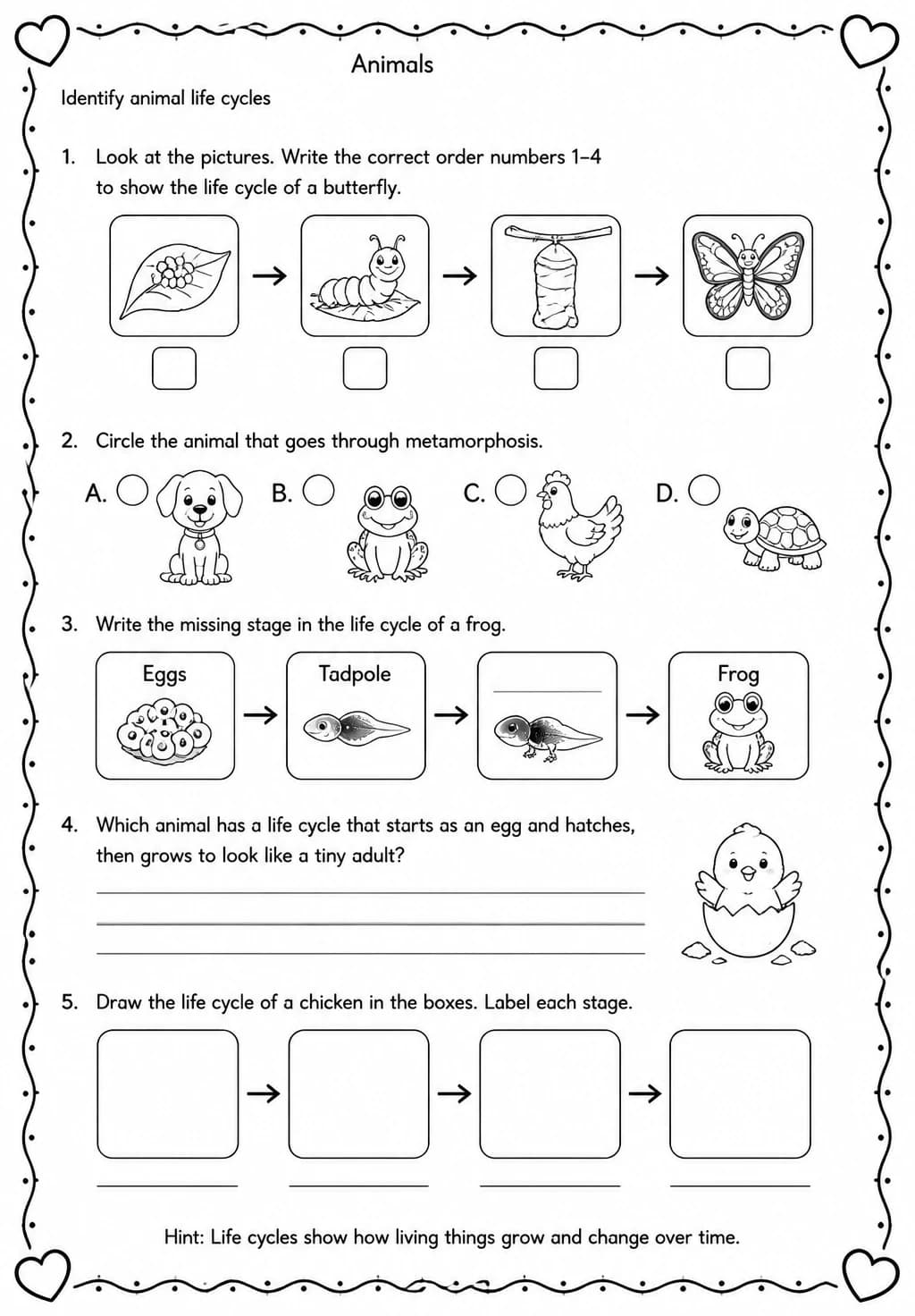 Identify animal life cycles — free printable Grade 2 Science worksheet