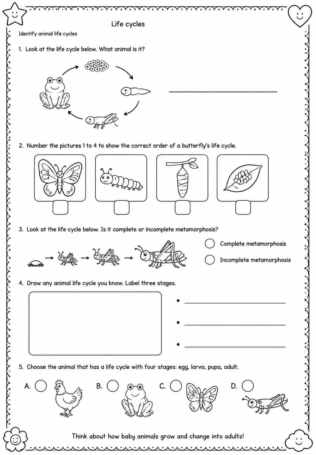 Identify animal life cycles — free printable Grade 3 Science worksheet