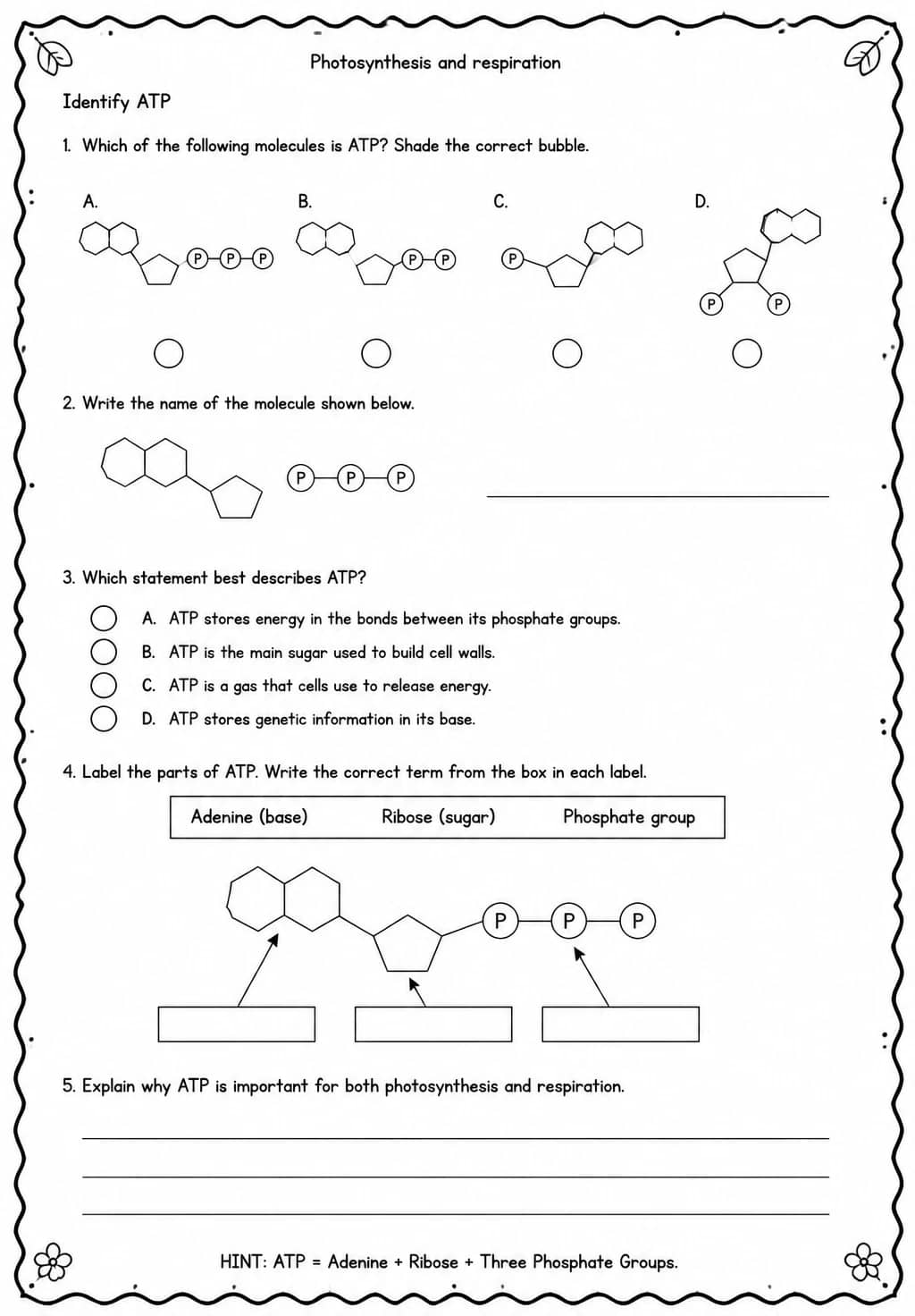 Identify ATP — free printable High School Science worksheet