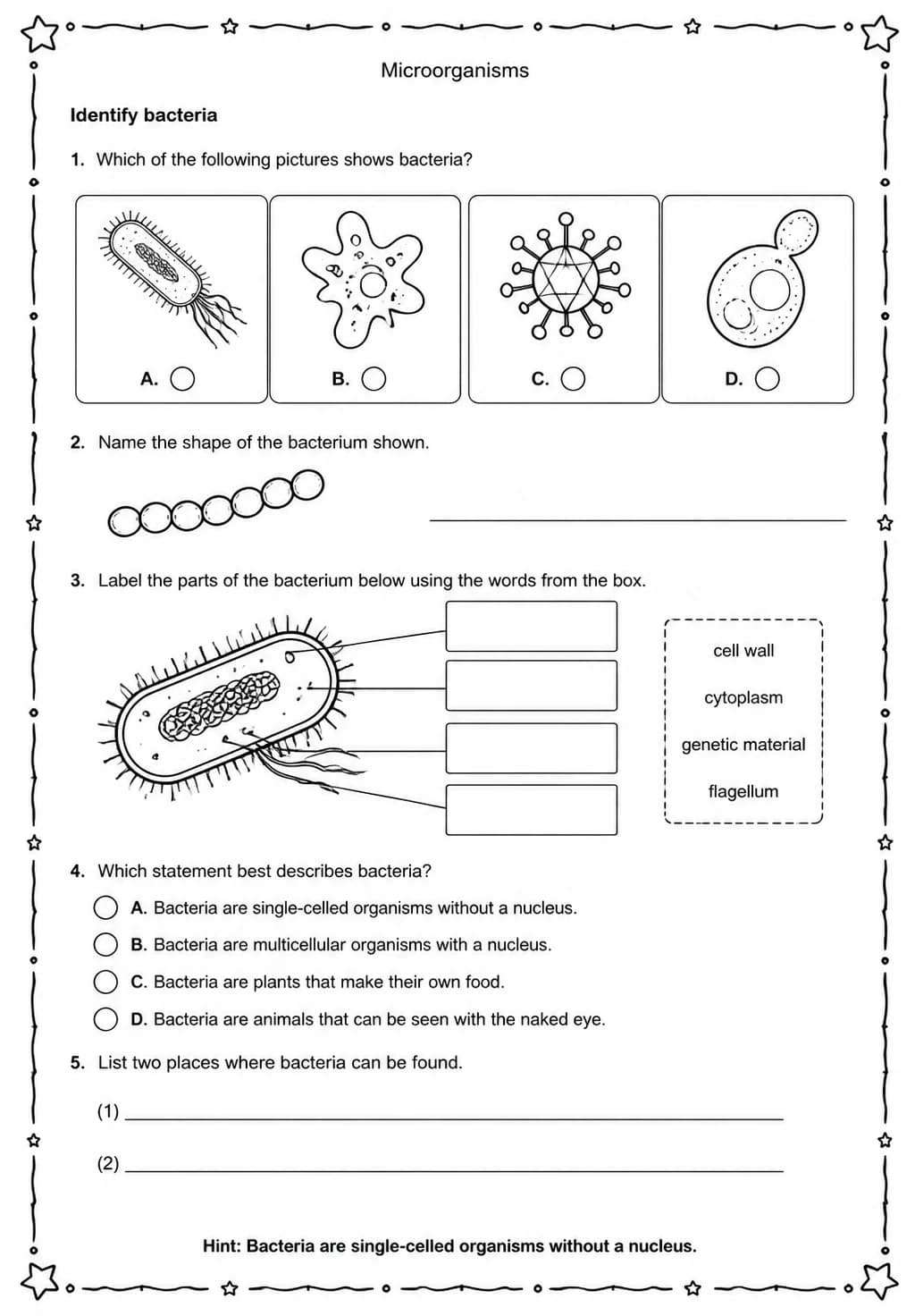 Identify bacteria — free printable Middle School Science worksheet
