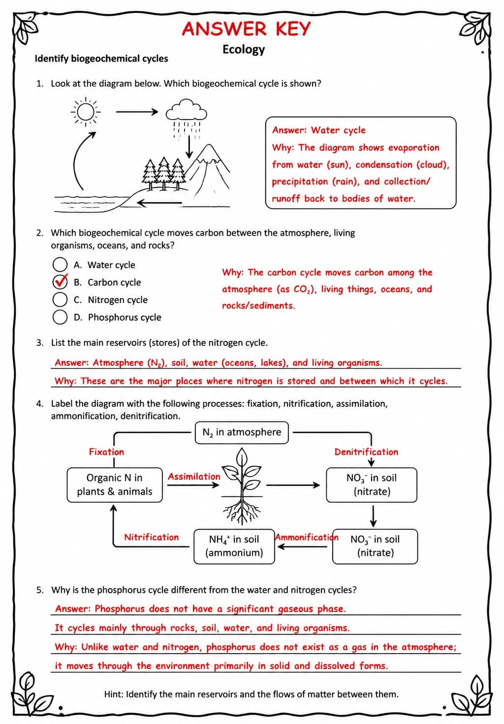 Answer key for Identify biogeochemical cycles — free printable Science worksheet