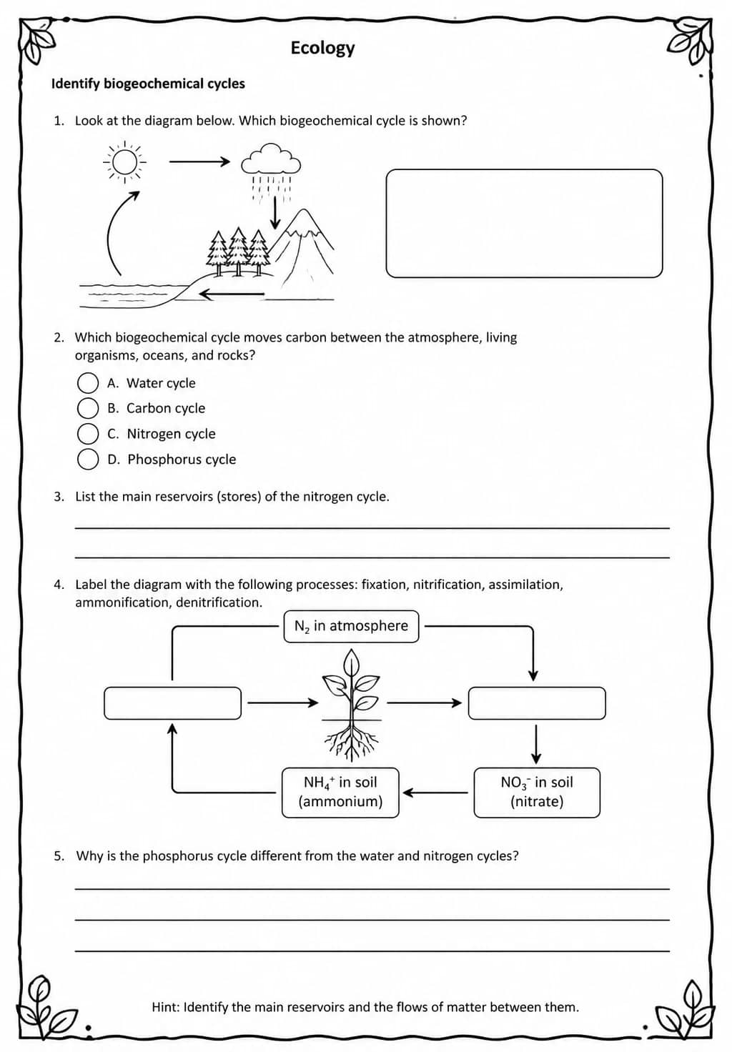 Identify biogeochemical cycles — free printable High School Science worksheet