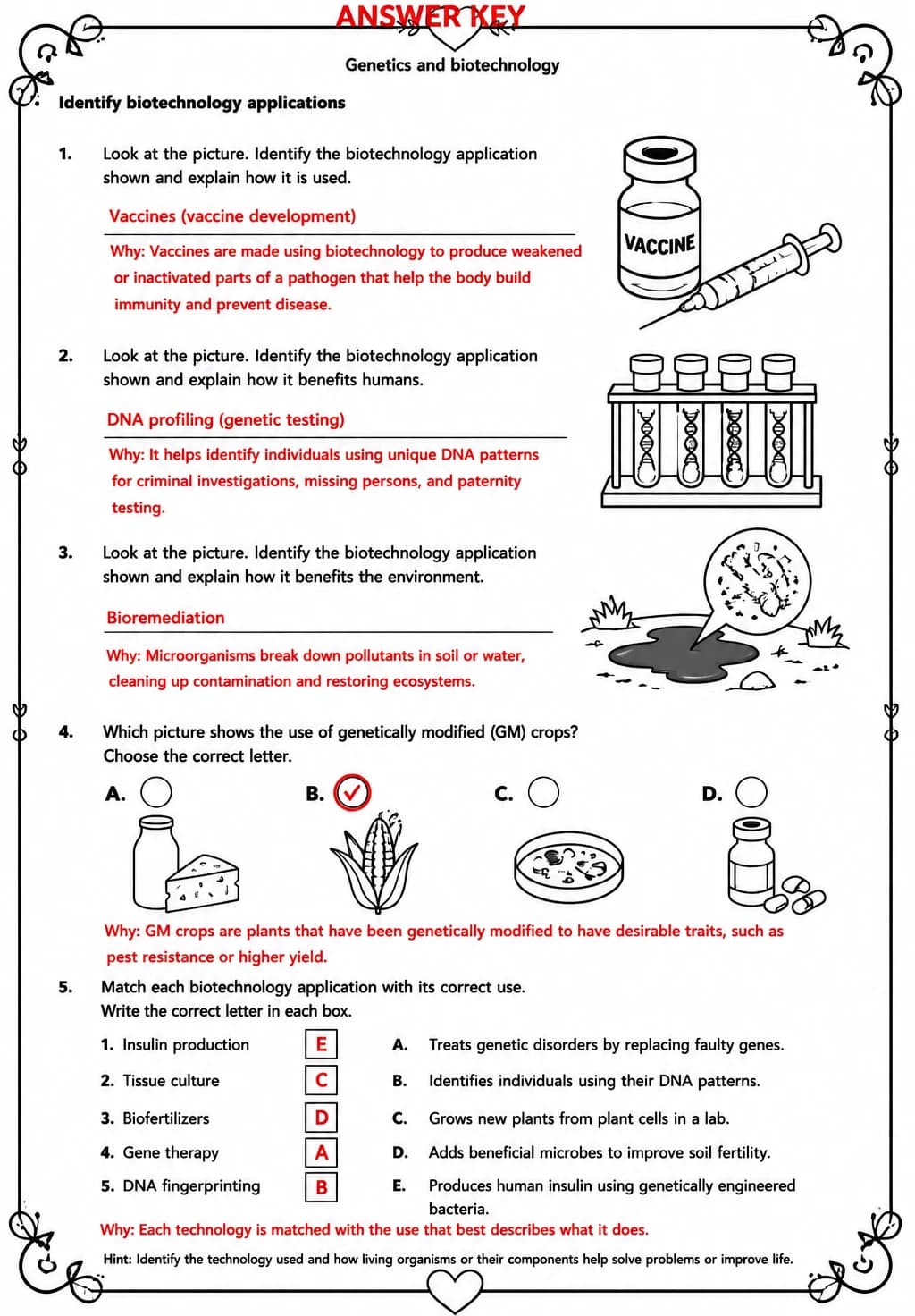Answer key for Identify biotechnology applications — free printable Science worksheet