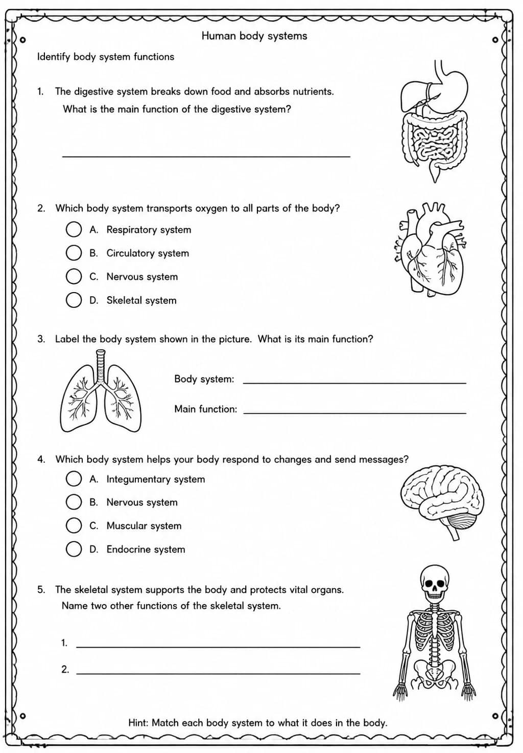 Identify body system functions — free printable Grade 5 Science worksheet