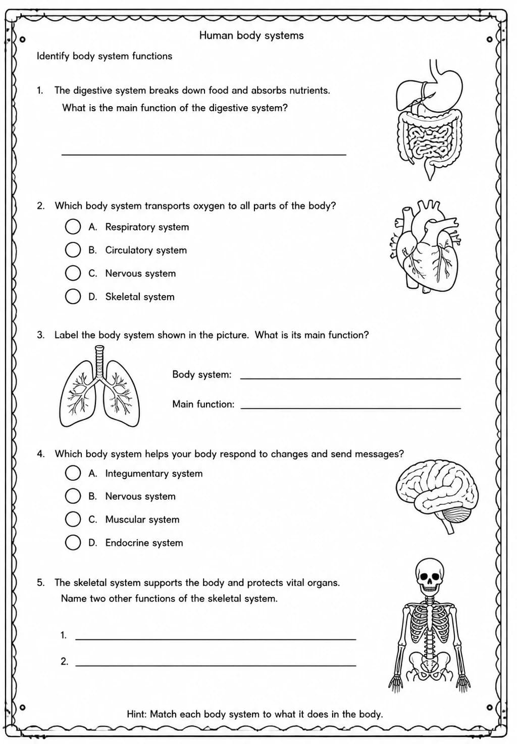 Identify body system functions — free printable Grade 5 Science worksheet