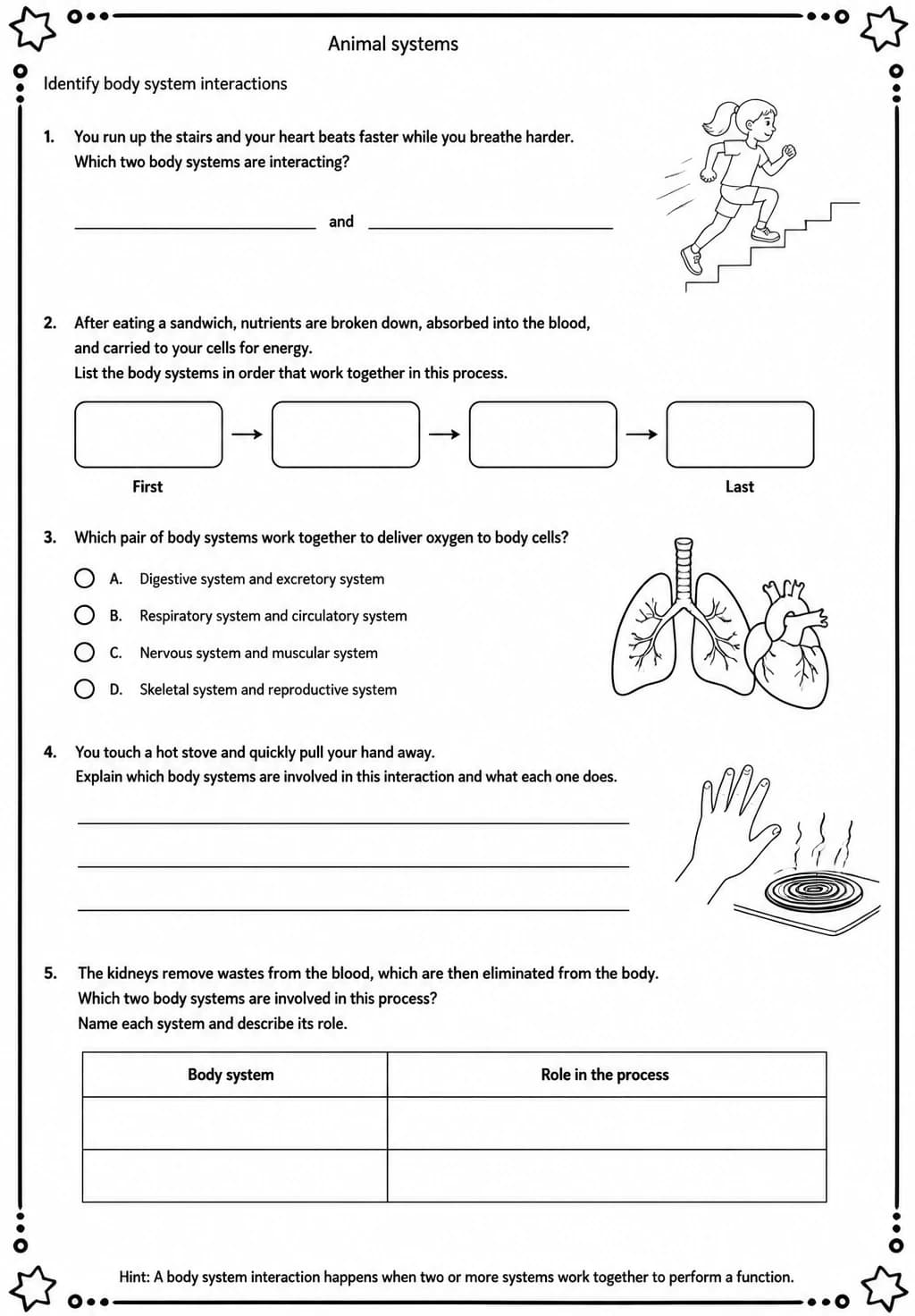 Identify body system interactions — free printable Middle School Science worksheet