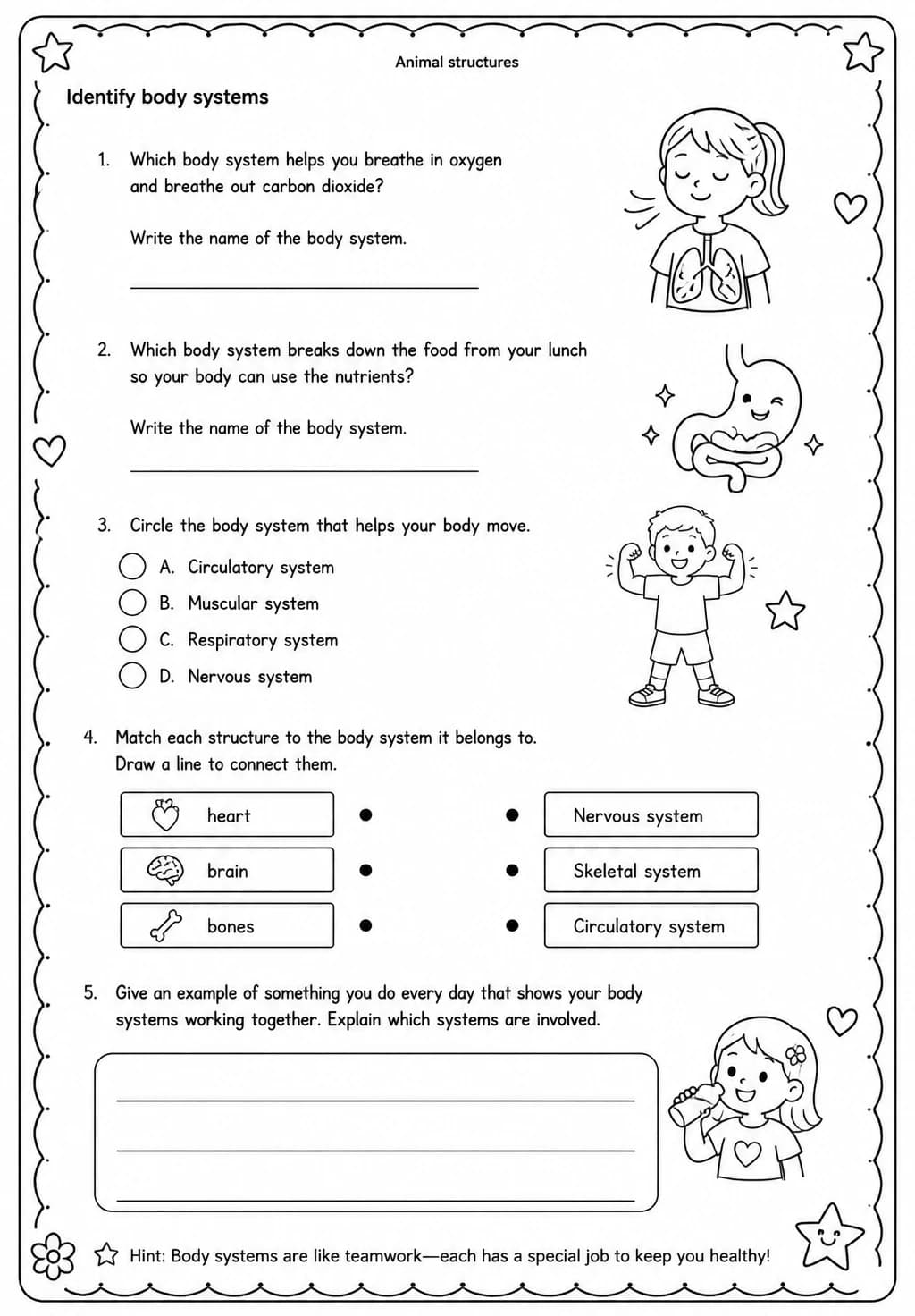 Identify body systems — free printable Grade 4 Science worksheet