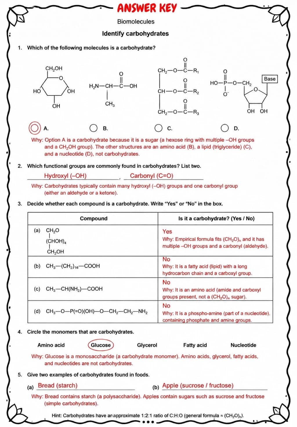 Answer key for Identify carbohydrates — free printable Science worksheet