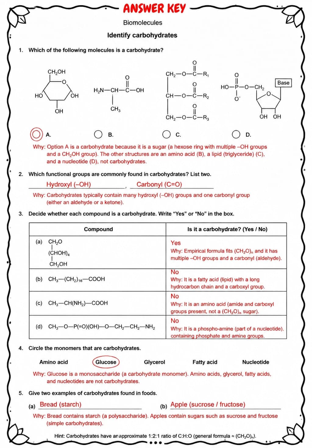 Answer key for Identify carbohydrates — free printable Science worksheet