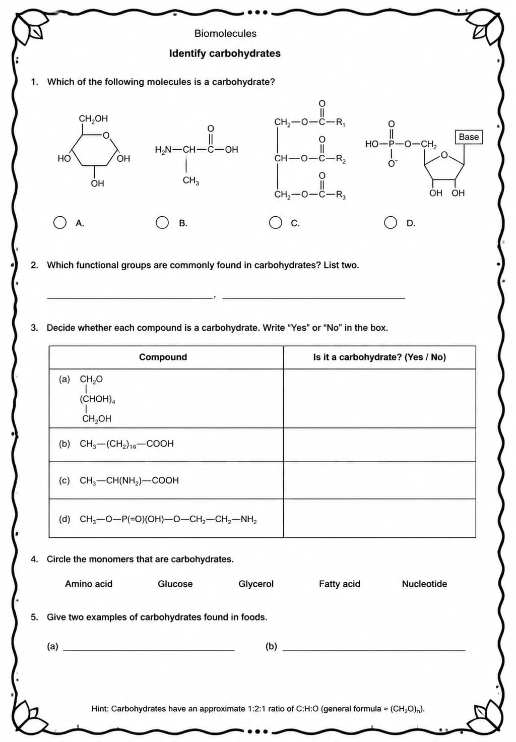Identify carbohydrates — free printable Biology science worksheet