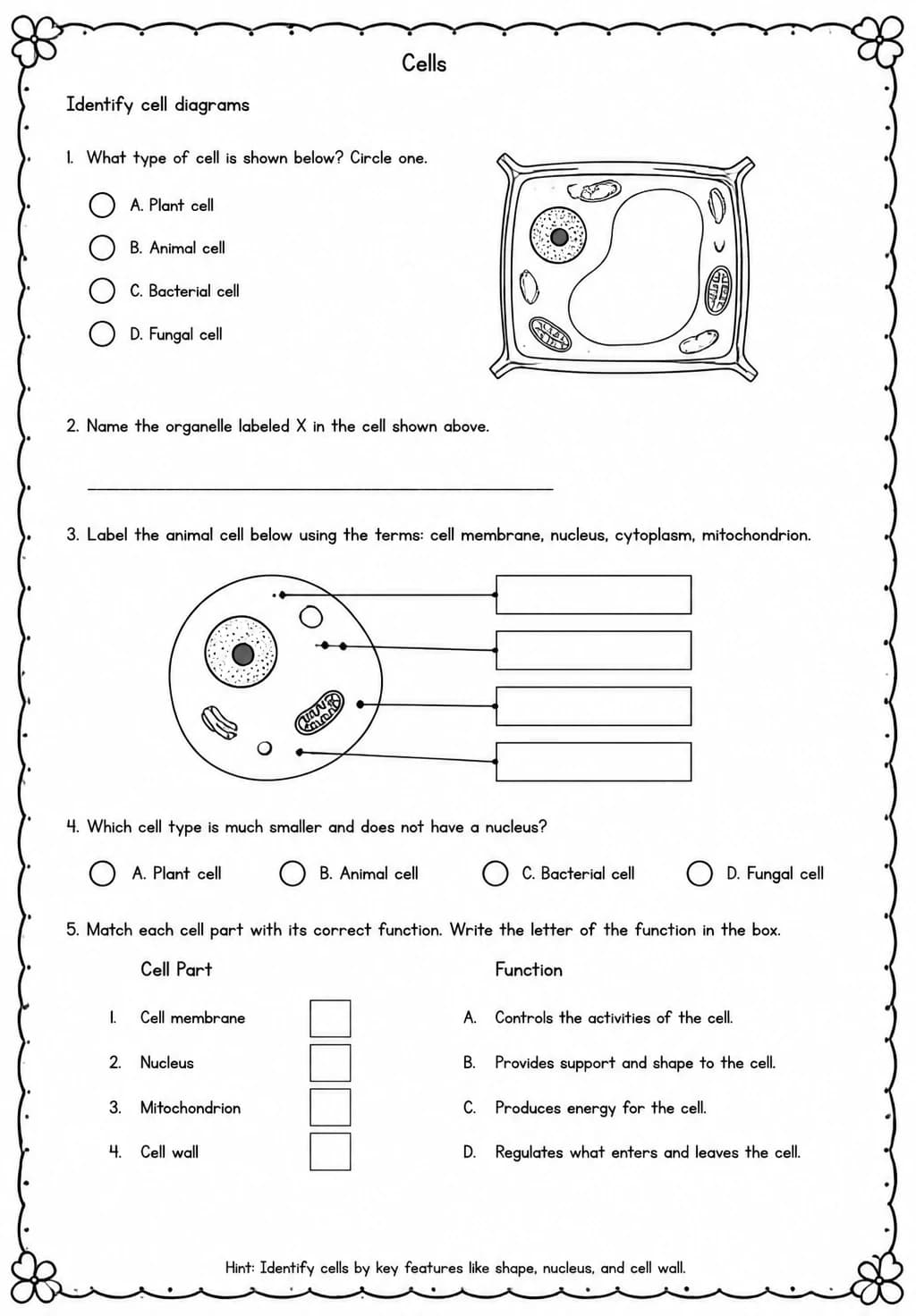 Identify cell diagrams — free printable Middle School Science worksheet