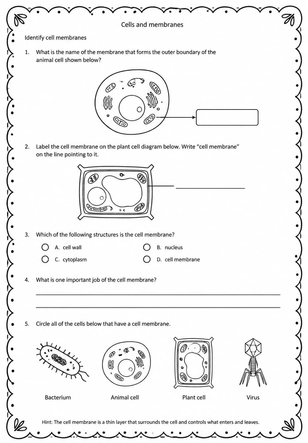 Identify cell membranes — free printable High School Science worksheet