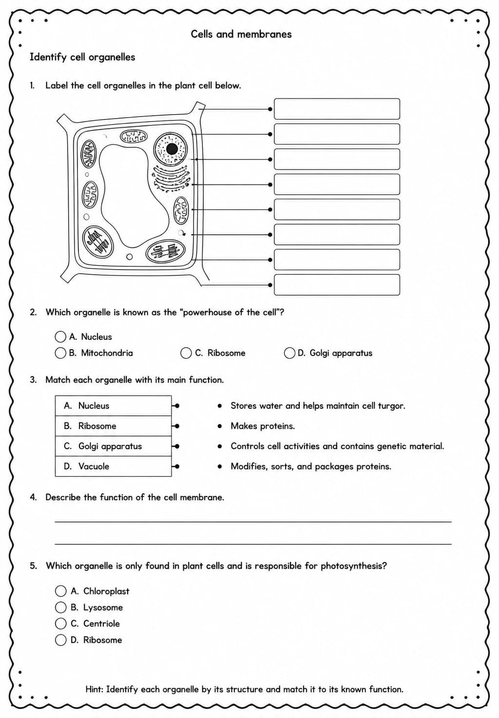 Identify cell organelles — free printable High School Science worksheet