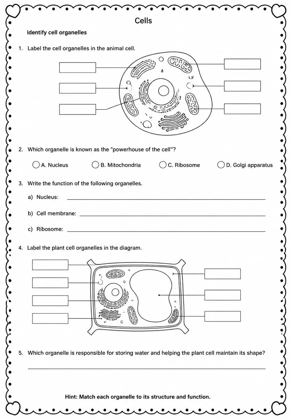 Identify cell organelles — free printable Middle School Science worksheet