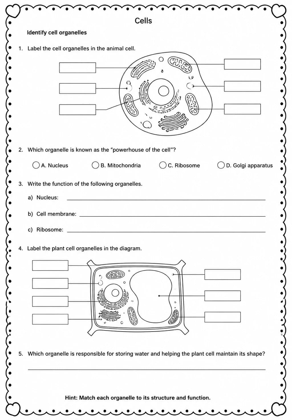 Identify cell organelles — free printable Middle School Science worksheet