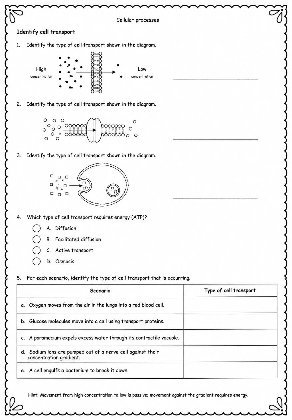 Identify cell transport — free printable Middle School Science worksheet