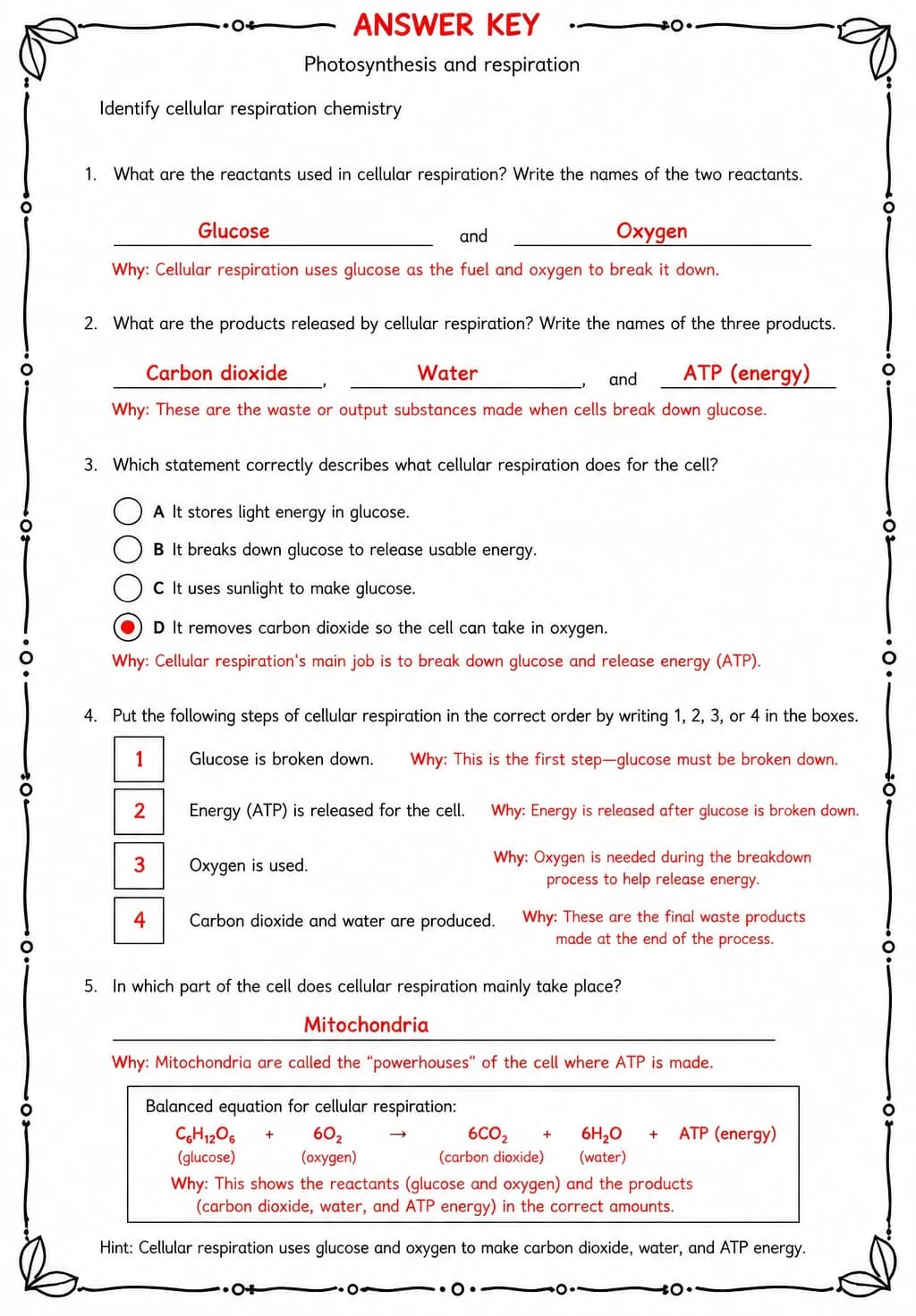 Answer key for Identify cellular respiration chemistry — free printable Science worksheet