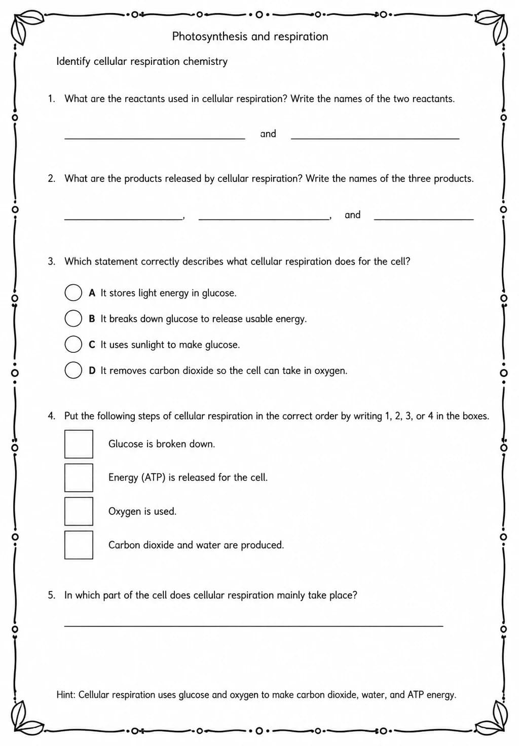 Identify cellular respiration chemistry — free printable Middle School Science worksheet